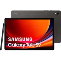 Tablette Android SAMSUNG Galaxy Tab S9 11 Wifi 128Go Gris avec Galaxy IA