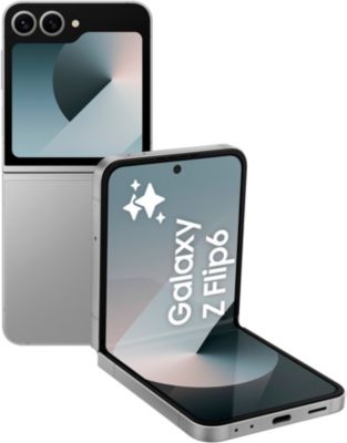 Samsung Galaxy Z Flip6 256 Go Gris