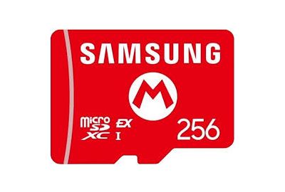 Carte Micro SD SAMSUNG Express 256 go