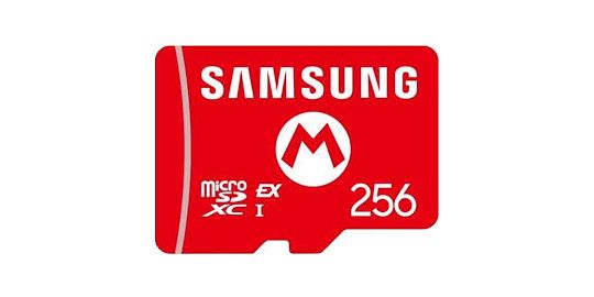 Carte Micro SD SAMSUNG Express 256 go