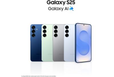 Smartphone SAMSUNG Galaxy S25 Gris 128Go