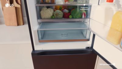Voir la vidéo pour Réfrigérateur combiné LG GBBSJ1CCEP