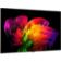 Location TV OLED LG 77W6 (2026) 77 (195 cm) 4K Ultra HD - Expérience Cinéma & Gaming, boîtier déporté (câble invisible)