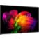 Location TV OLED LG 83W6 (2026) 83" (210 cm) 4K Ultra HD - Expérience Cinéma & Gaming, boîtier déporté (câble invisible)