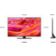 Location TV Mini Led SAMSUNG NeoQLED TQ50QN90F 4K AI 2025