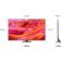 Location TV Mini Led SAMSUNG NeoQLED TQ55QN90F 4K AI 2025