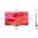 Location TV Mini Led SAMSUNG Miniled TQ75QN90F 2025