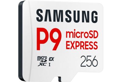 Carte Micro SD SAMSUNG 256Go P9 Express Classe U3 V30 A1