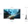 Location TV OLED SAMSUNG TQ55S92H 2026 (138cm)
