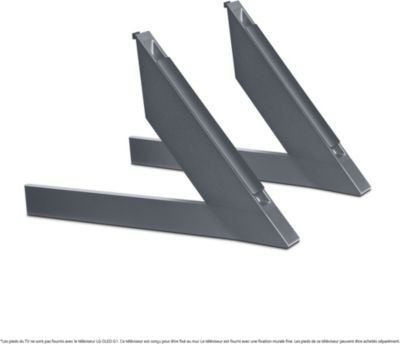 Pied TV LG 2 Pieds AN-GXDV55 pour Gallery OLED55GX