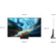 Location TV OLED SAMSUNG TQ77S92H 2026 ( 194 cm )
