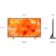Location TV Mini Led SAMSUNG TQ50QN74H 2026 (125cm)