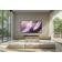 Location TV OLED SAMSUNG TQ65S99H 2026 ( 164 cm )