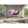 Location TV OLED SAMSUNG TQ83S99H 2026 ( 210 cm )