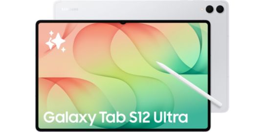 Tablette Android SAMSUNG Galaxy Tab S12 Ultra WIFI 256Go Argent