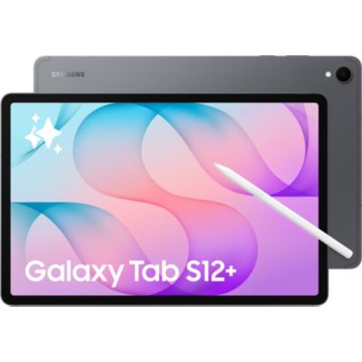 Location Tablette SAMSUNG Galaxy Tab S12+ 5G 256Go Gris
