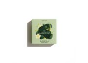 Saveur WATERDROP Microtea Green Oasis - Pack de 12