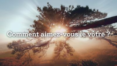 Voir la vidéo pour Théière SAGE APPLIANCES Tea Maker