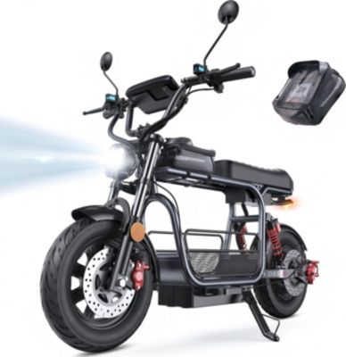 Trottinette électrique ISCOOTER DX5