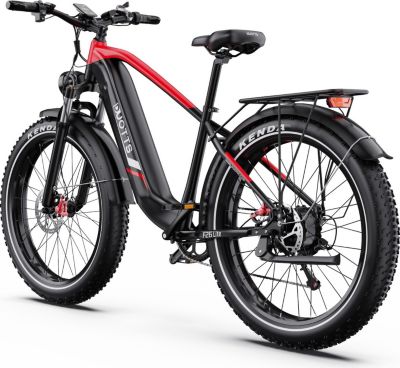 Vélo électrique DUOTTS F26 Lite