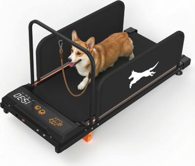 Tapis de marche FORMILL tapis roulant pour animaux