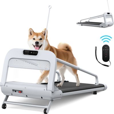 Tapis de marche FORMILL tapis roulant pour animaux