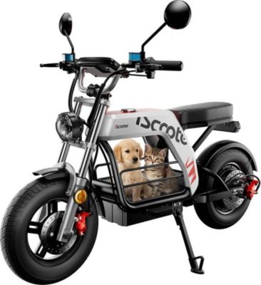 Trottinette électrique ISCOOTER DX5 Pro