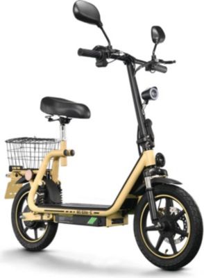 Trottinette électrique TWOFISH M5 Elite-E