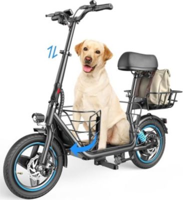 Trottinette électrique GYROOR C1 PLUS