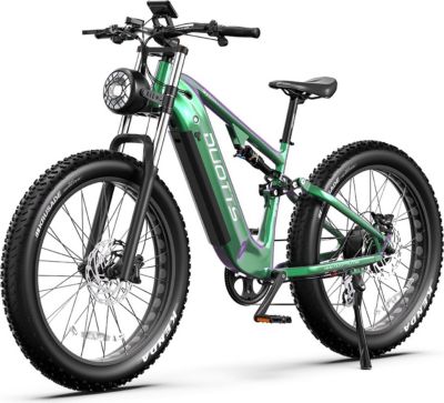 Vélo électrique DUOTTS E26 750W 48V20AH Vert Violet