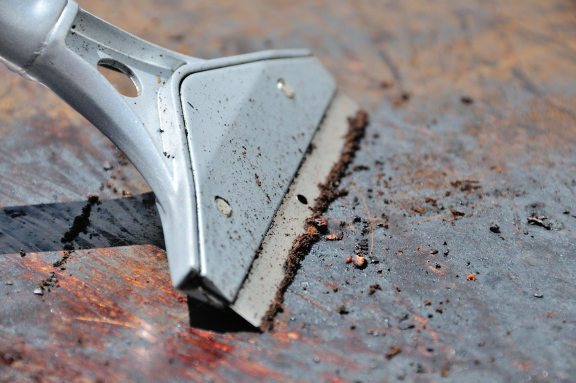Cleaning griddle surface with spatula in industrial kitchen  