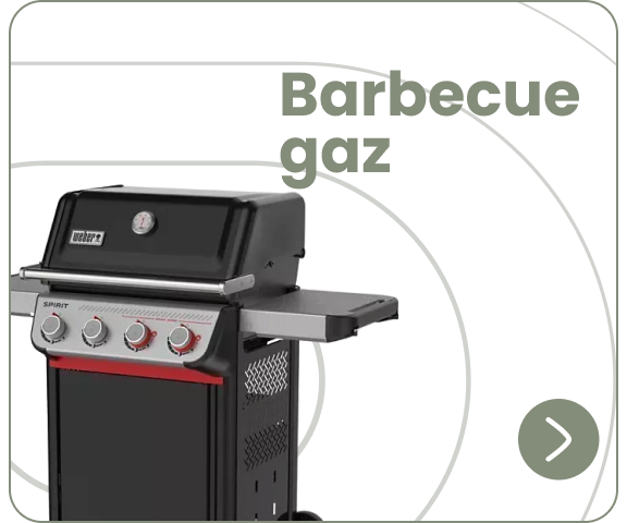 Barbecue gaz