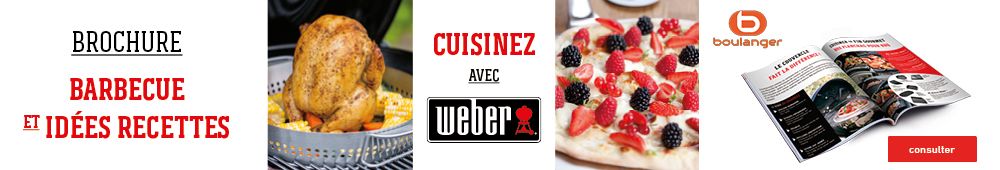 Livre Recette Weber
