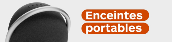 Enceintes portable
