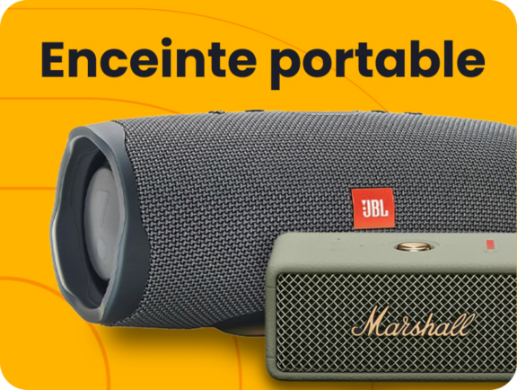 Enceinte portable