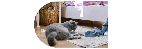 aspirateur pour animaux