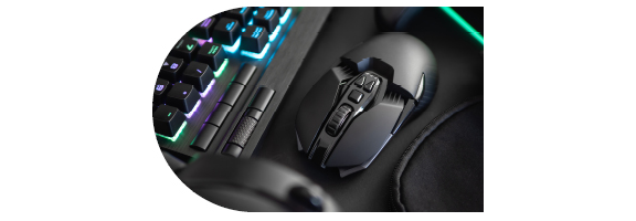 souris gamer