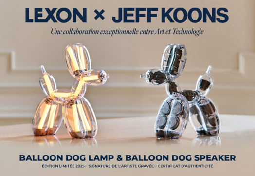 Image liée à un emplacement marketing