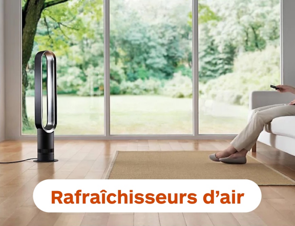 Rafraîchisseur d'air