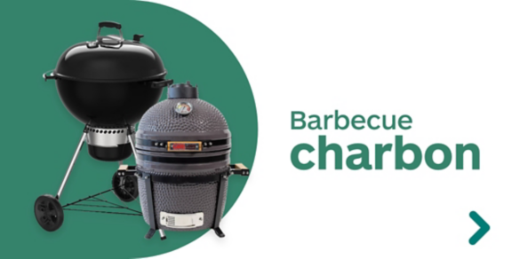 Barbecue charbon
