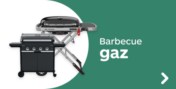 Barbecue gaz