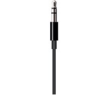 Cable Data Apple  vers mini-jack 1.2m noir