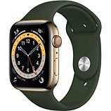 Montre connectée Apple Watch  44MM Acier Or/Vert Series 6 Cellular
