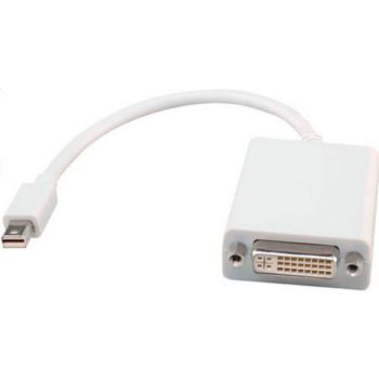 Conecticplus Câble mini DisplayPort-DVI femelle