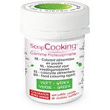 Colorant alimentaire Scrapcooking  artificiel en poudre vert 5g