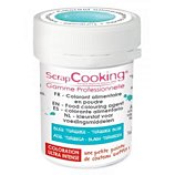 Colorant alimentaire Scrapcooking  artificiel en poudre turquoise 5g