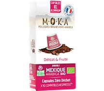 Café bio Terra Moka  MEXIQUE X 10 Biodegradables BIO