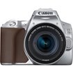 Appareil photo Reflex Canon EOS 250D Argent + 18-55mm IS STM