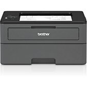 Imprimante laser noir et blanc Brother HL-L2370DN