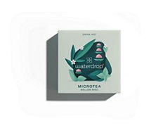Concentré Waterdrop  Microtea Mellow mint - Pack de 12